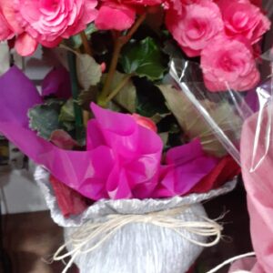 BEGÔNIA ROSA NO CREPOM