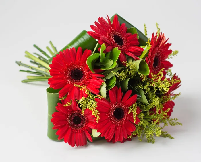 BUQUÊ DE GERBERA VERMELHA UMA DUZIA.