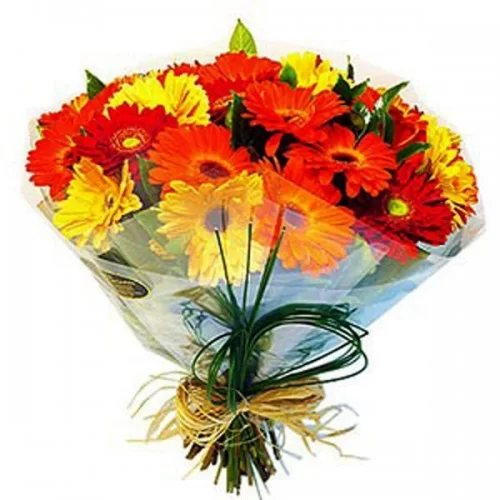 BUQUE DE GERBERAS - LARANJA, AMARELA,VERMELHA. 2 DÚZIAS