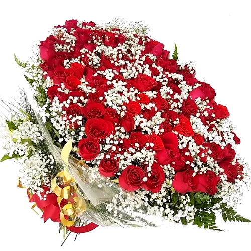 BUQUÊ DE ROSAS NACIONAL VERMELHAS 5 DUZIAS