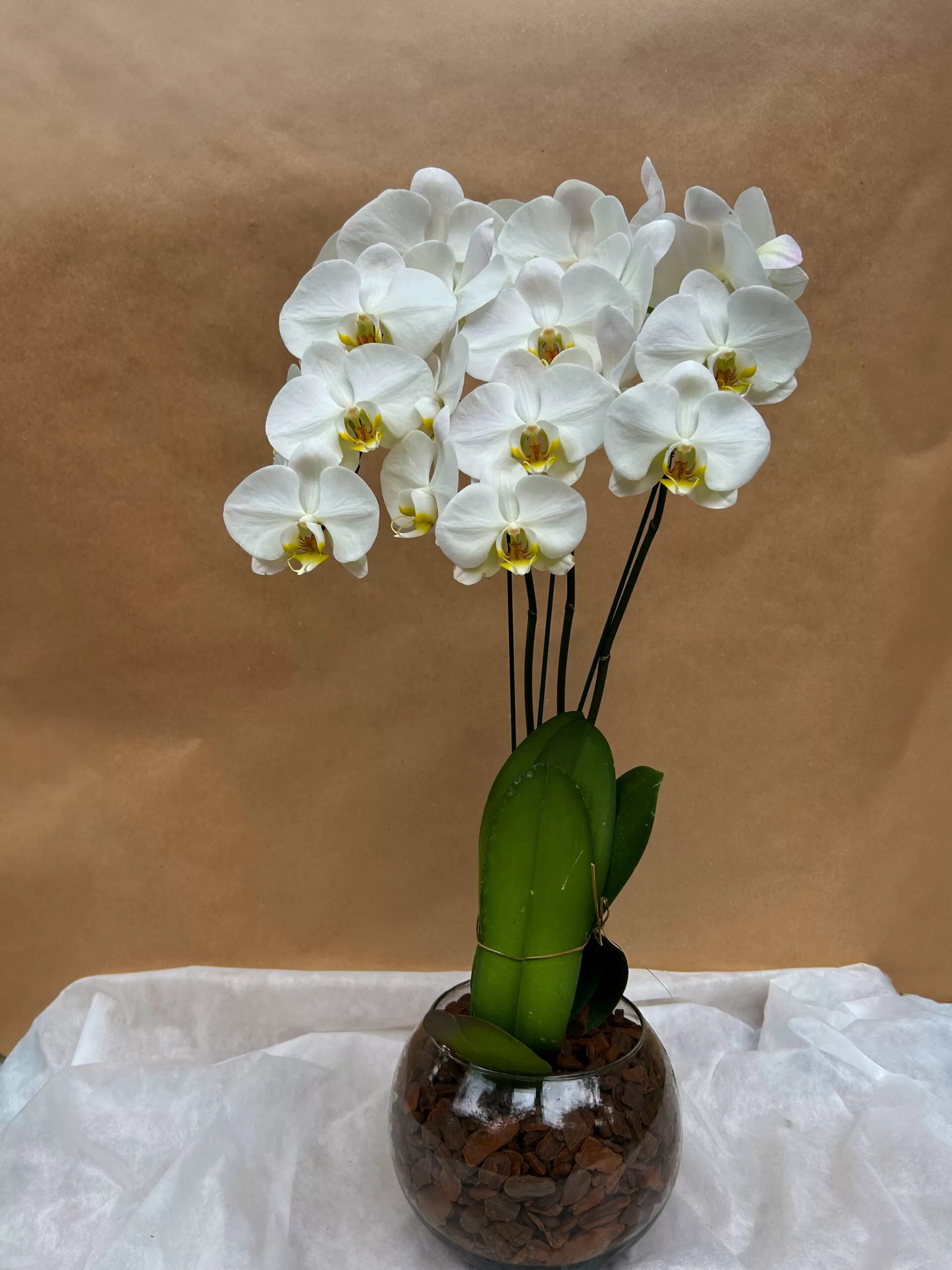 ORQUÍDEA COM 3 ASTES - Imagem 3