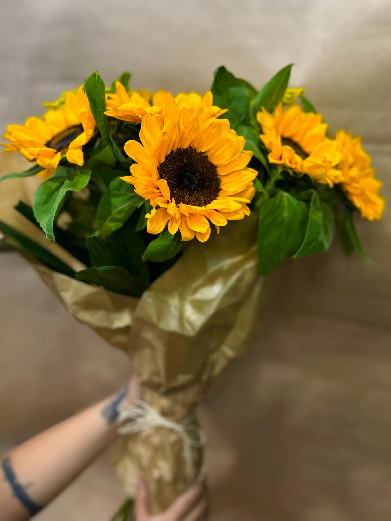 BUQUÊ DE GIRASSÓIS 1 DUZIA - Imagem 3
