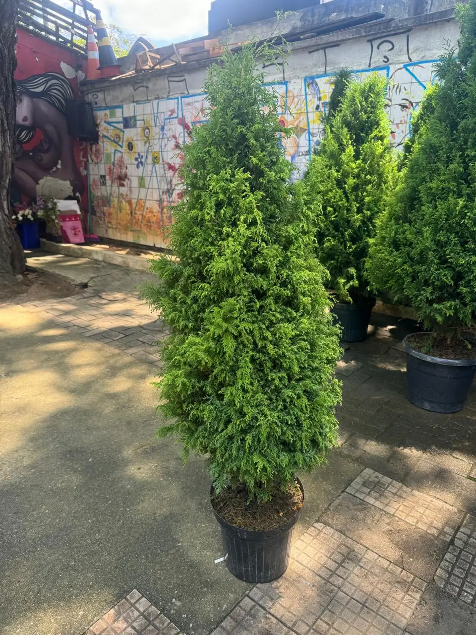 Árvore de Natal - 1,40m de altura