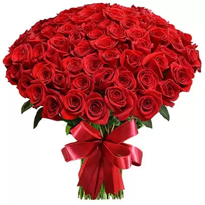 ROSAS COLOMBIANAS 6 DÚZIAS