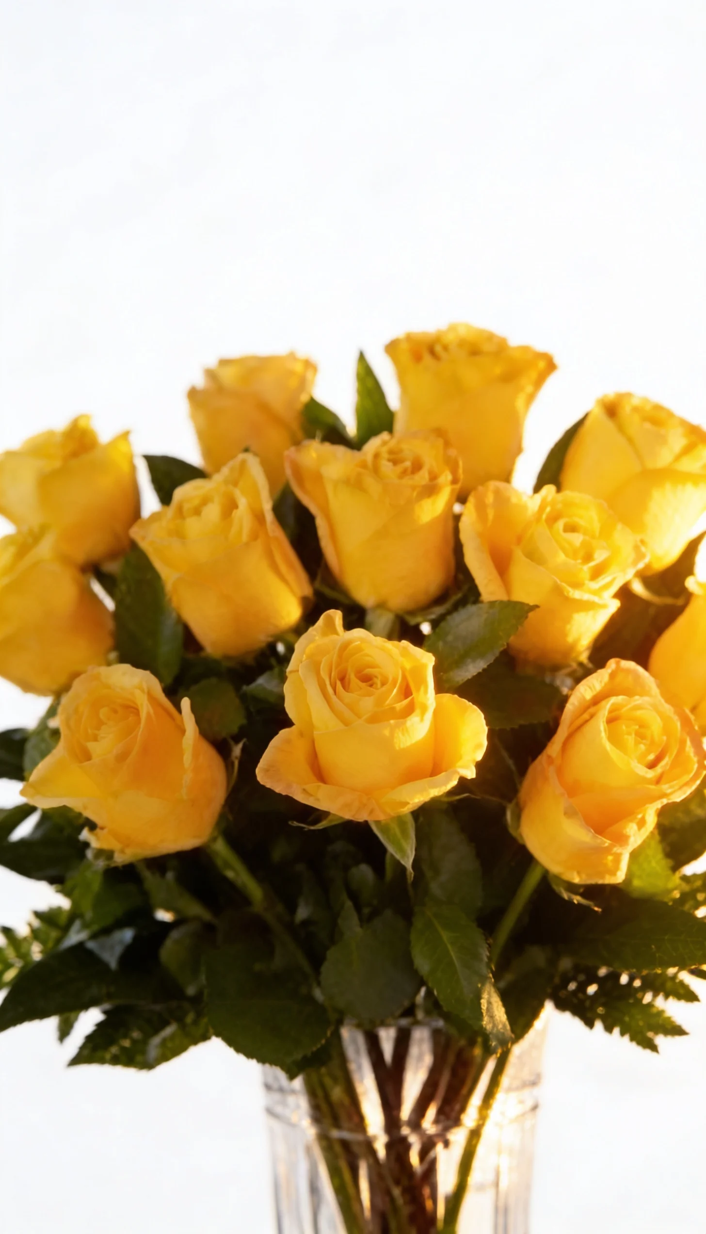 Arranjo De Rosas Amarelas - 1 Dúzia - Imagem 4