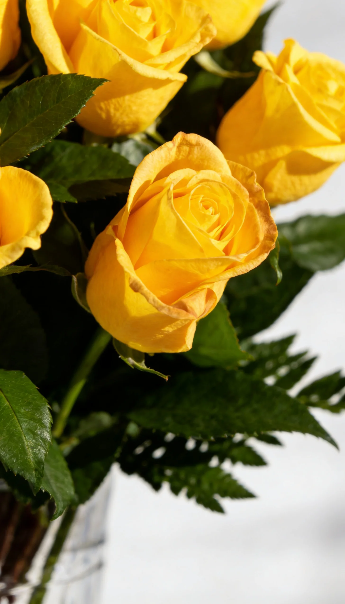 Arranjo De Rosas Amarelas 2 Dúzias - Imagem 2