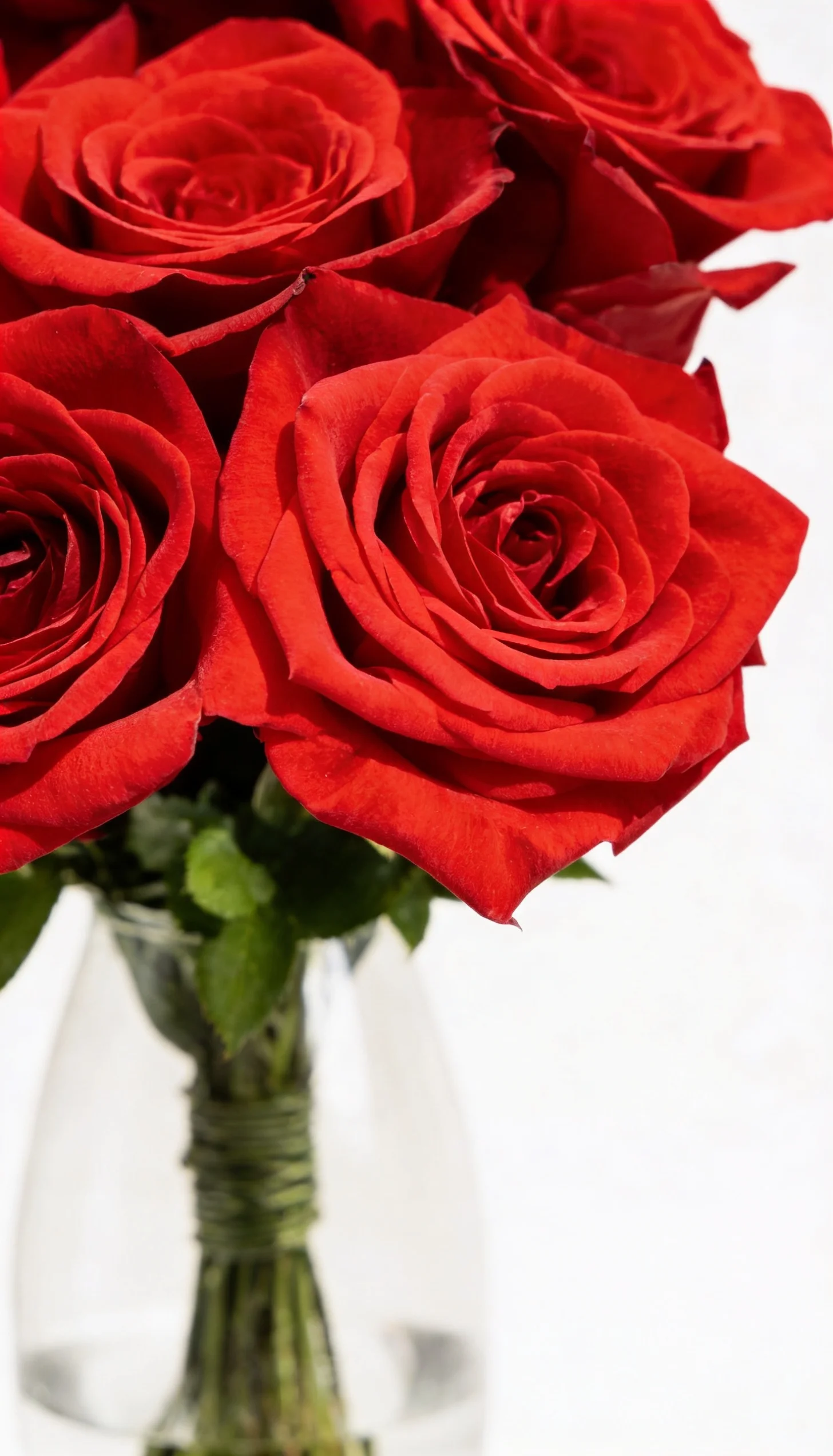 Arranjo De Rosas Colombianas - 30 Unidades - Imagem 3