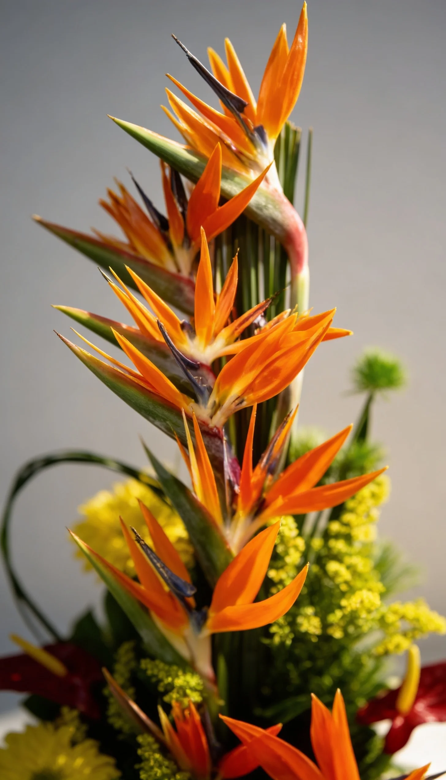 Arranjo Tropical 2 - Imagem 5