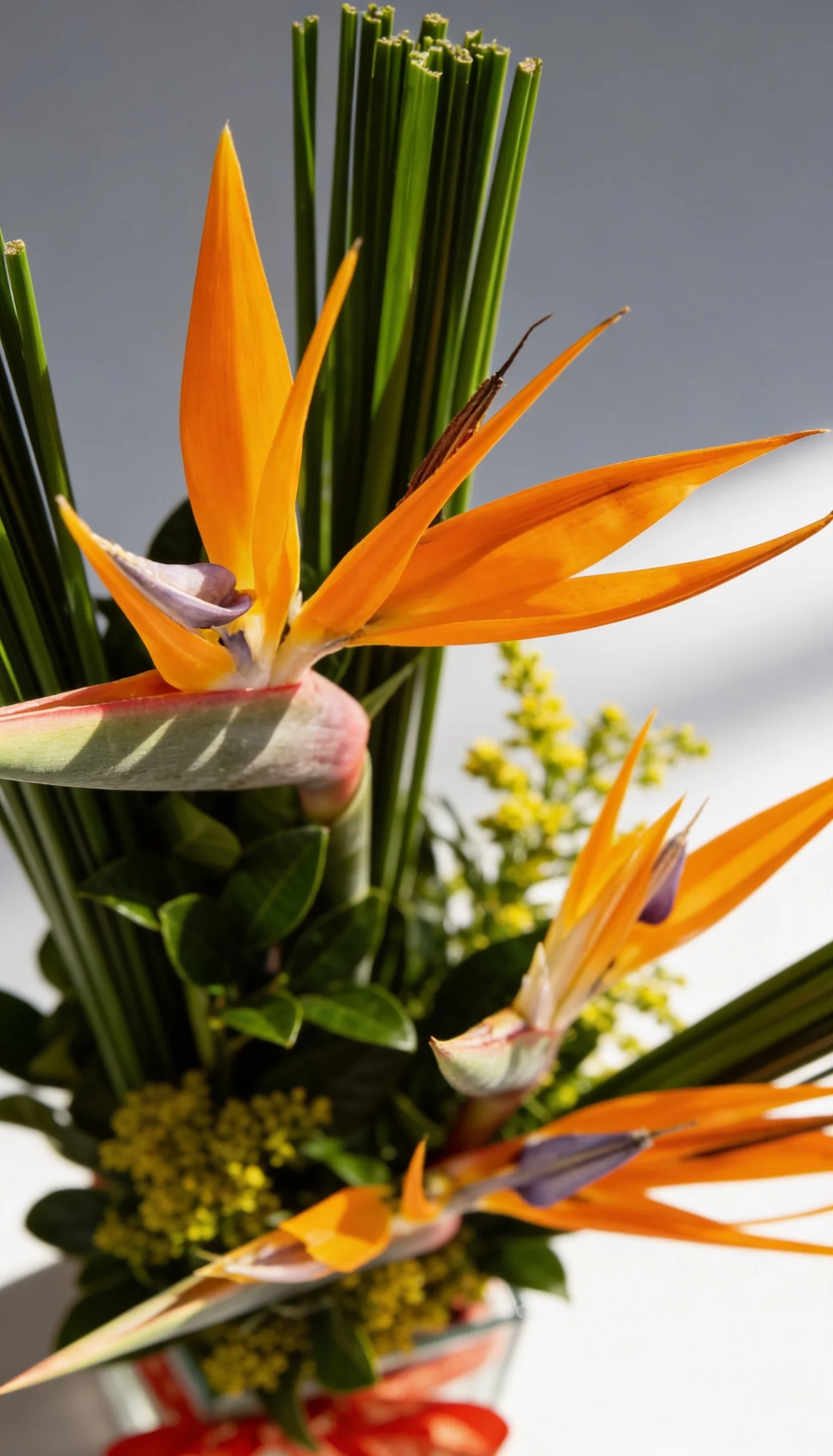 Arranjo Tropical 4 - Imagem 5