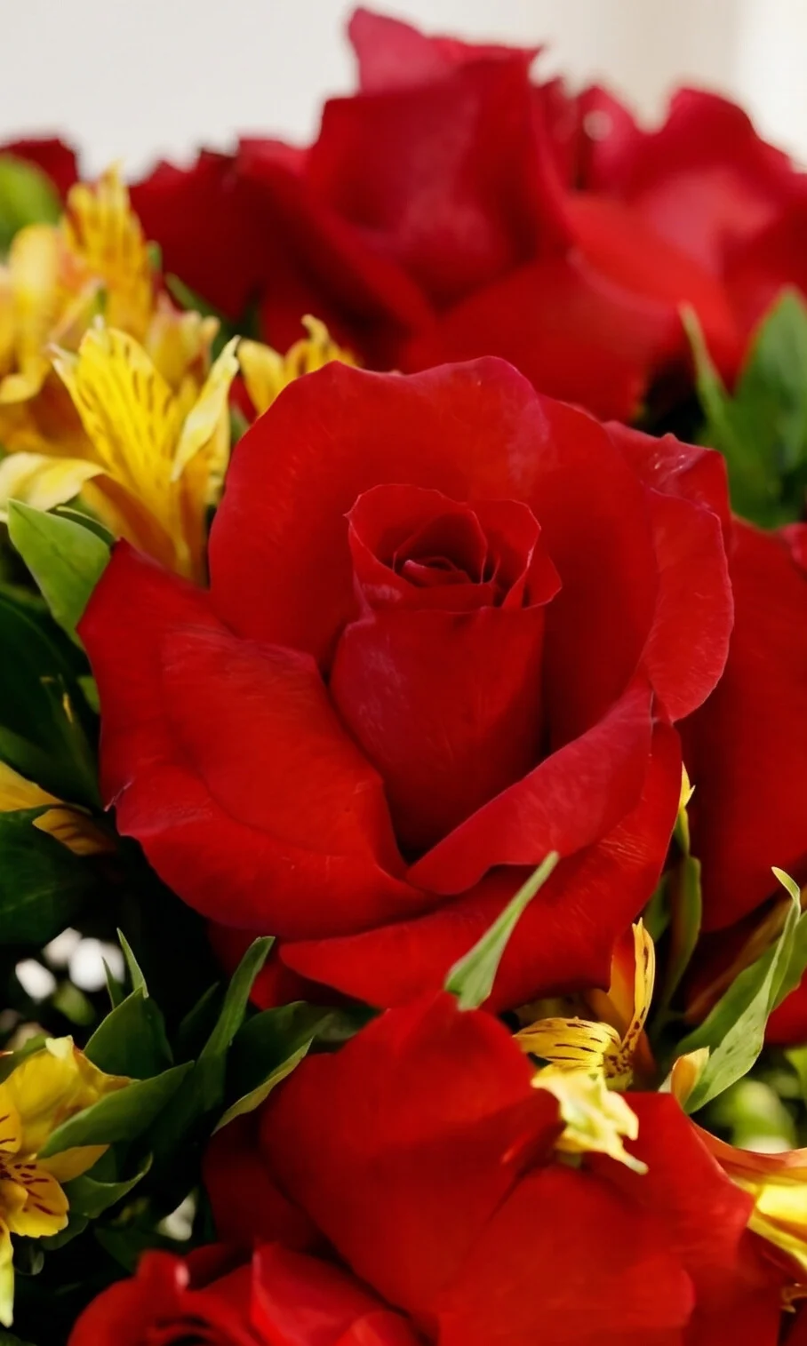 BUQUÊ DE ROSAS COLOMBIANAS 18 UNI. ABERTAS COM ASTROMELIAS AMARELAS - Imagem 2