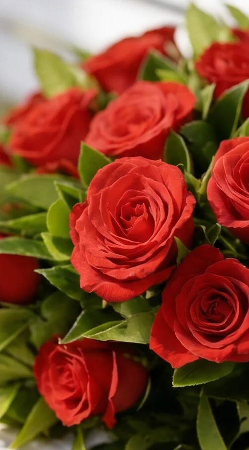 BUQUÊ DE ROSAS NACIONAL 18 UNI - Imagem 2