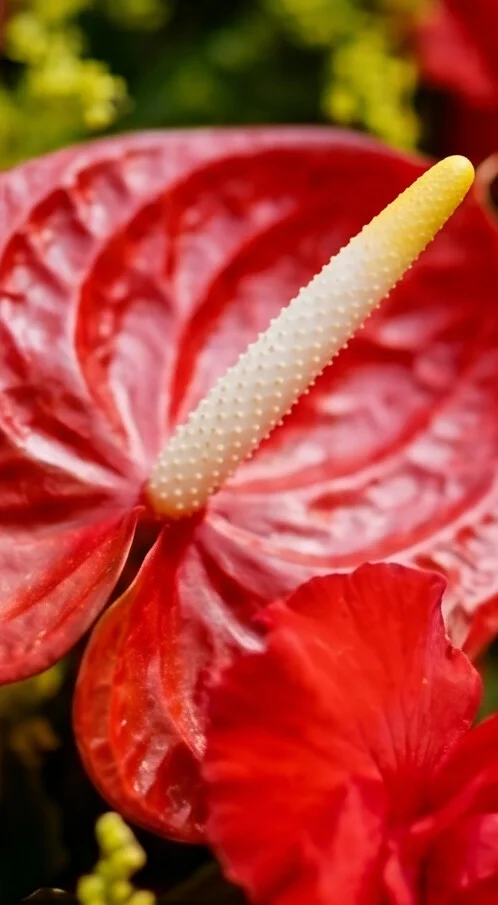 COROA DE FLORES TAMANHO P CORES 6 - Imagem 6