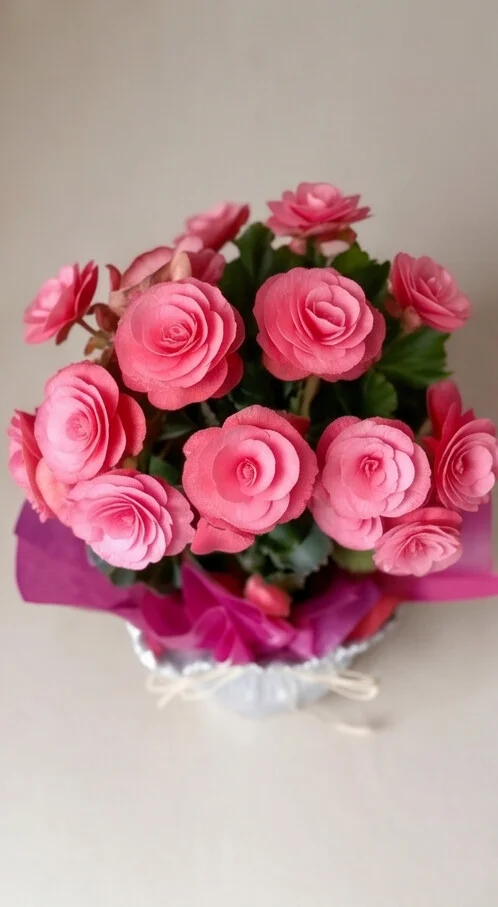 Begônia Rosa no Crepom - Imagem 2