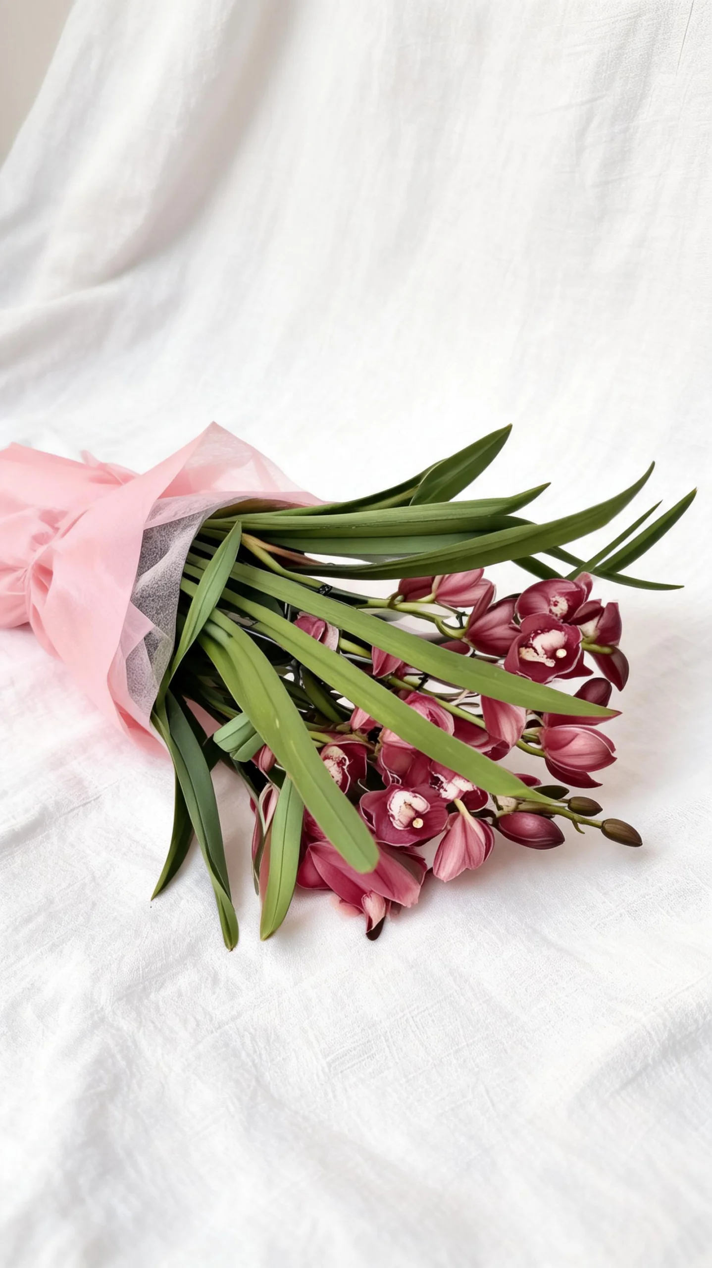 Orquídea Cymbidium Embalada no Crepom - Imagem 4