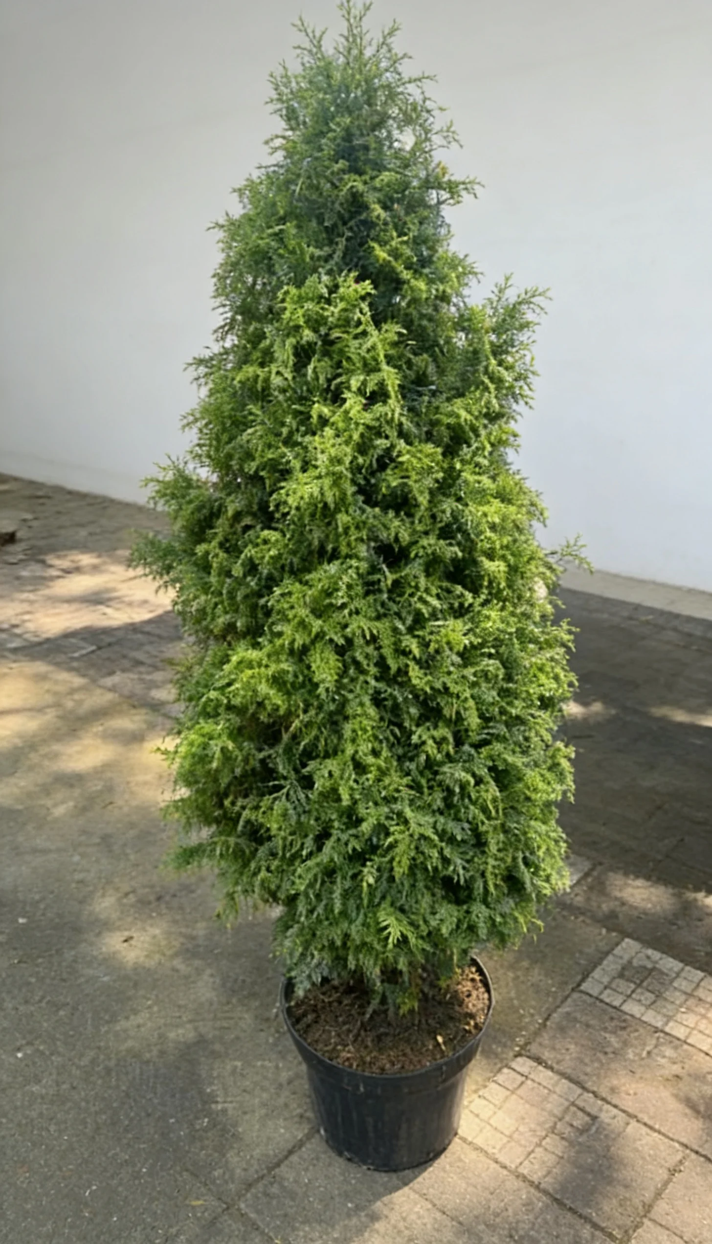 Árvore de Natal - 1,40m de altura - Imagem 2