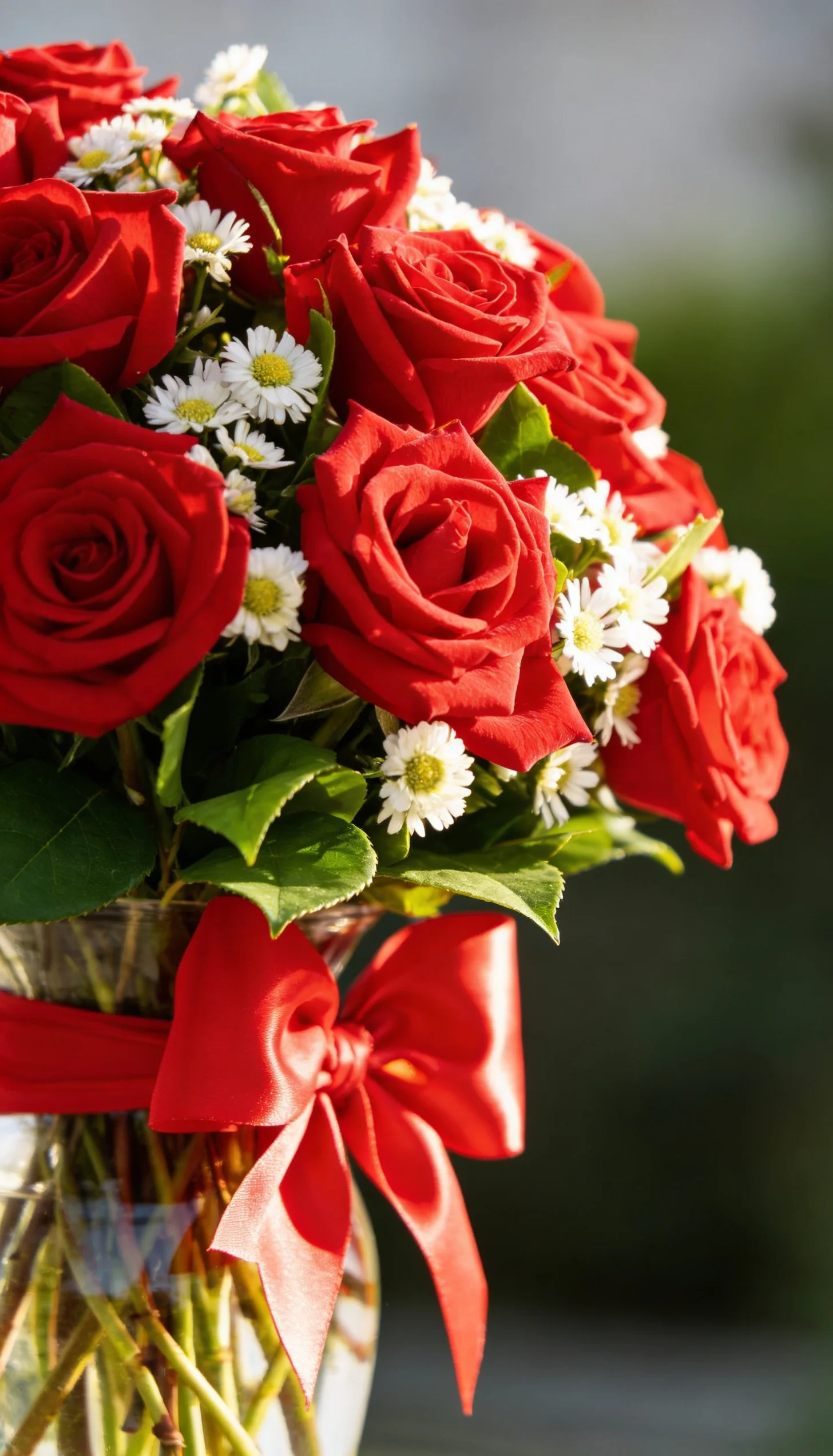 Arranjo De Rosas Vermelhas Nacional - 1 Dúzia - Imagem 5