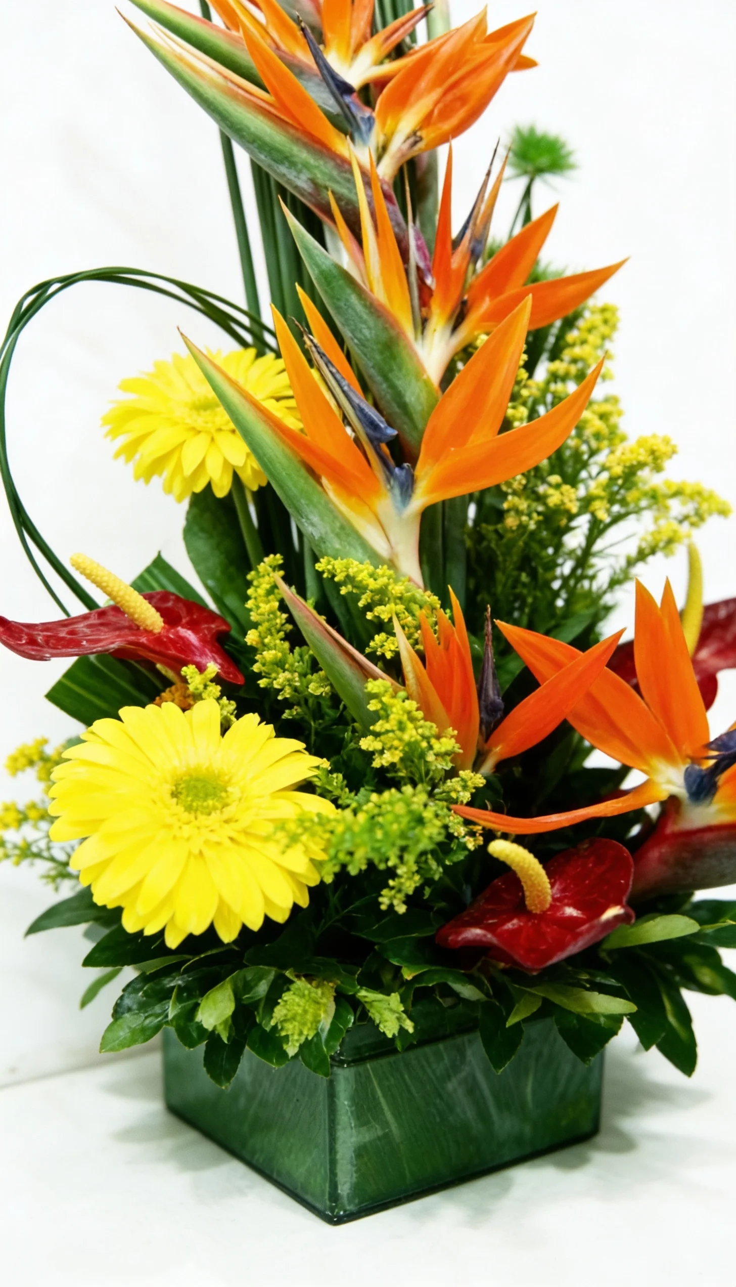 Arranjo Tropical 2 - Imagem 3
