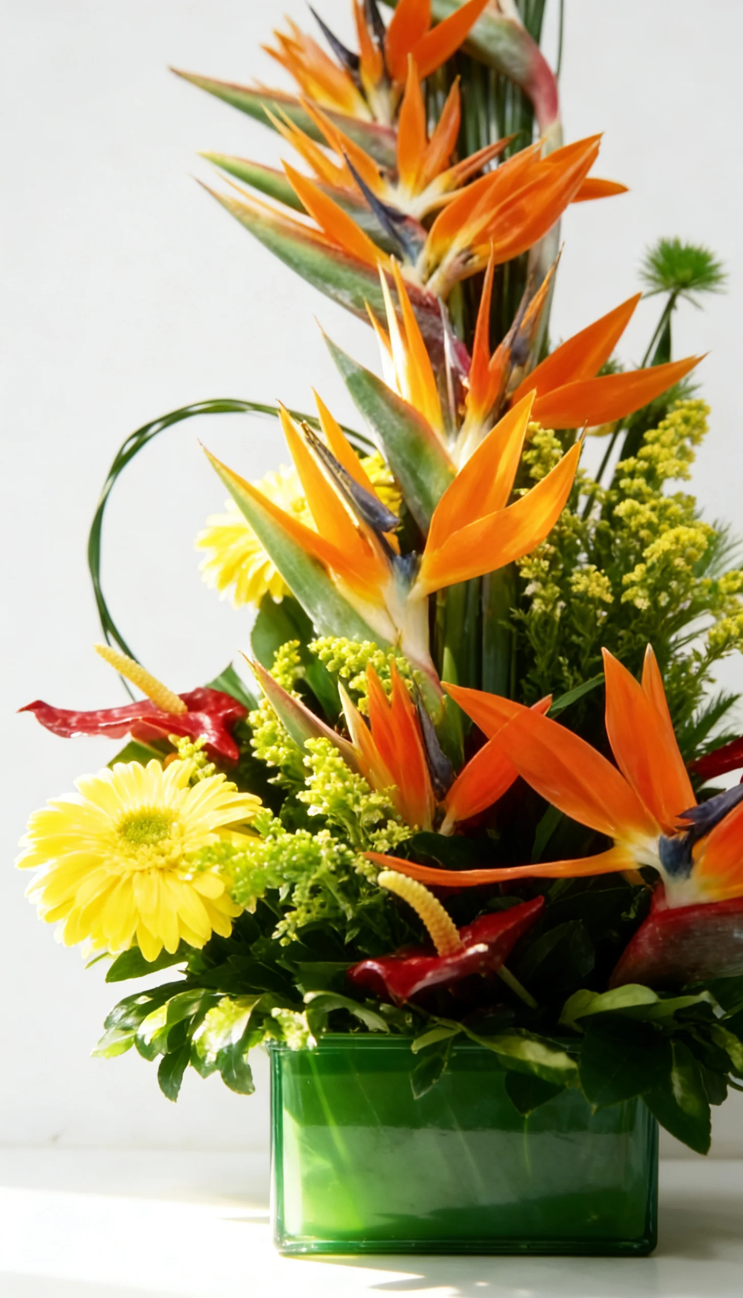 Arranjo Tropical 2 - Imagem 2